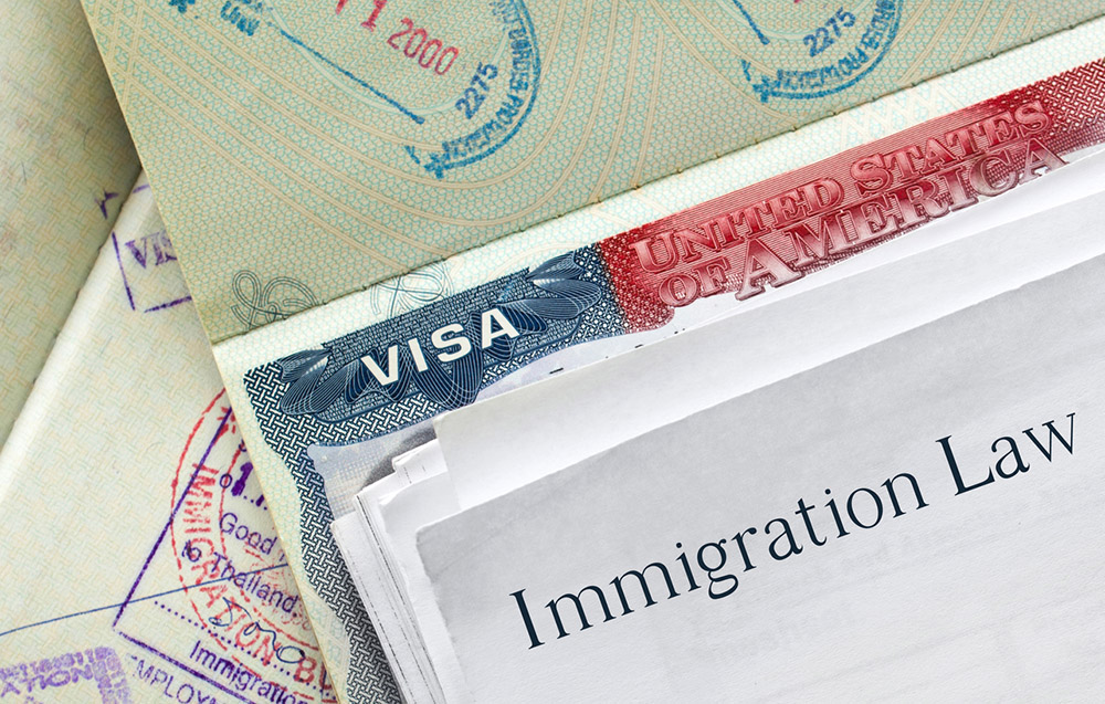 Visa vs Immigration